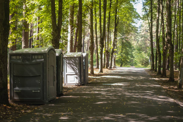 Types of Portable Toilets We Offer in Roslyn, PA